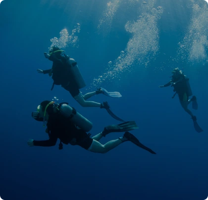 FAIRE DE LA PLONGÉE SOUS MARINE