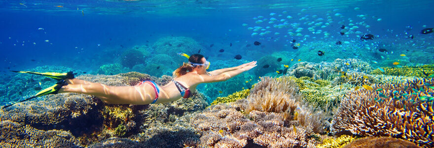 snorkeling